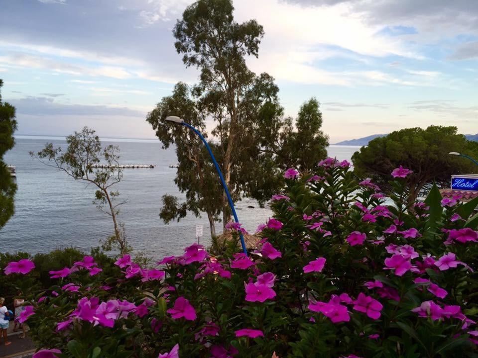Petit Avec Classe Sanremo Exteriér fotografie
