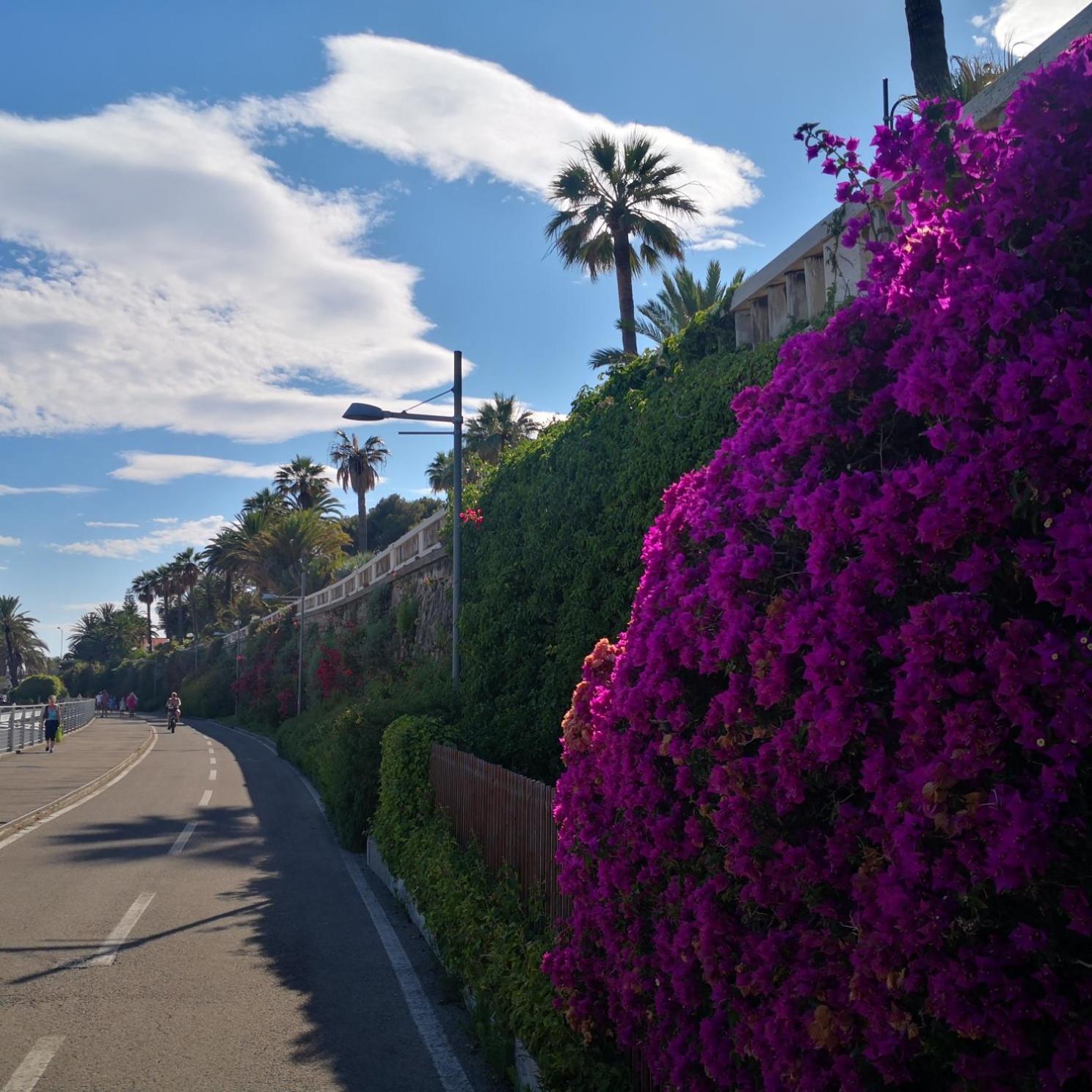 Petit Avec Classe Sanremo Exteriér fotografie